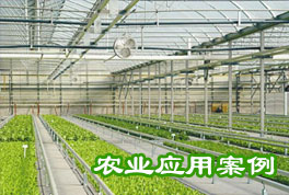 農(nóng)業(yè)應(yīng)用案例：水源熱泵機(jī)組助力恒溫大棚種植，更低運(yùn)行成本